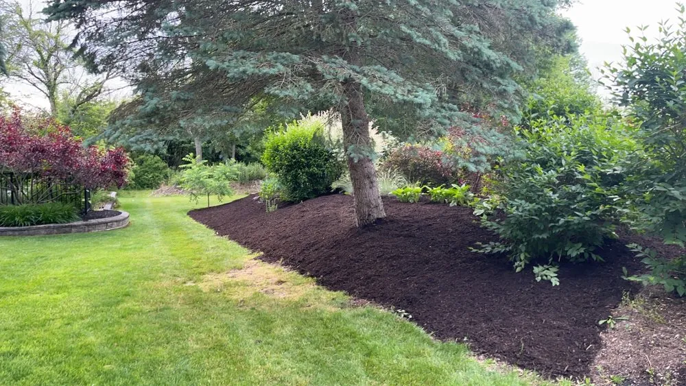 Expert outdoor landscaping for beautiful yards in Grand Island, NY by OBrien’s Site Services