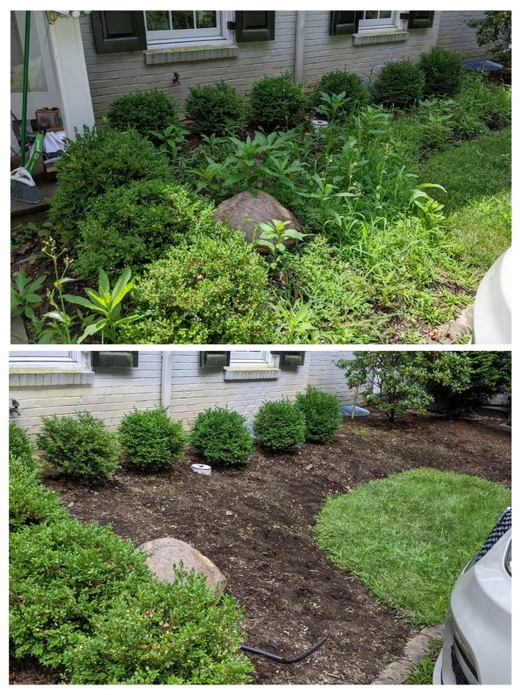 Professional lawn mowing service in Pittsburgh, PA - Obsessive Cleaning Disorder