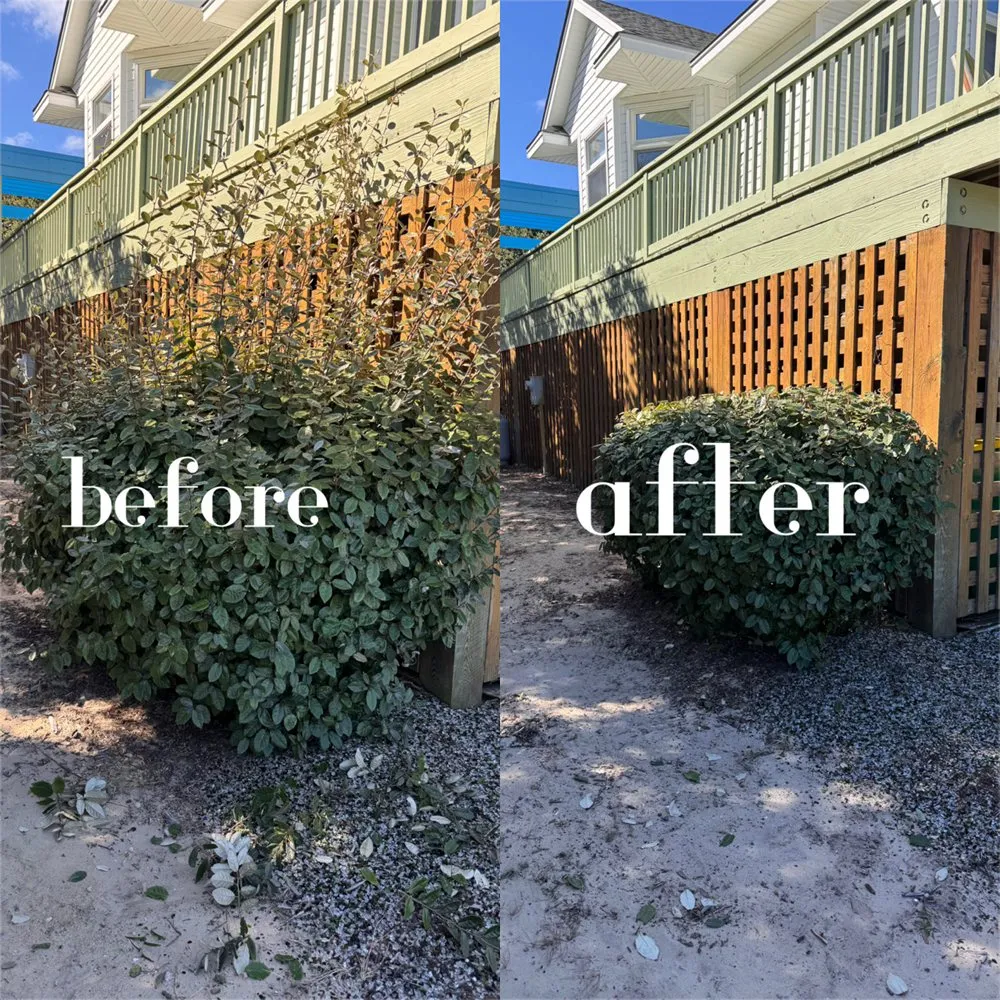 Trusted yard maintenance in Kill Devil Hills, NC by OBXGrassCutters