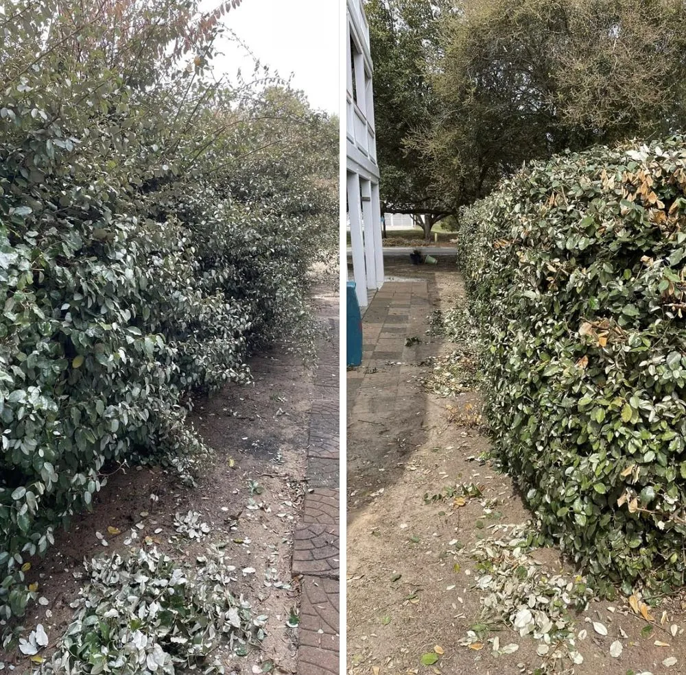 Reliable garden landscaping for year-round maintenance across Kill Devil Hills, NC - OBXGrassCutters