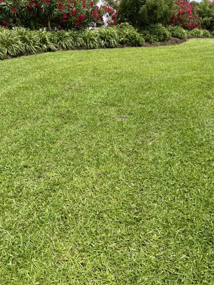 Reliable yard maintenance in Kill Devil Hills, NC by OBXGrassCutters