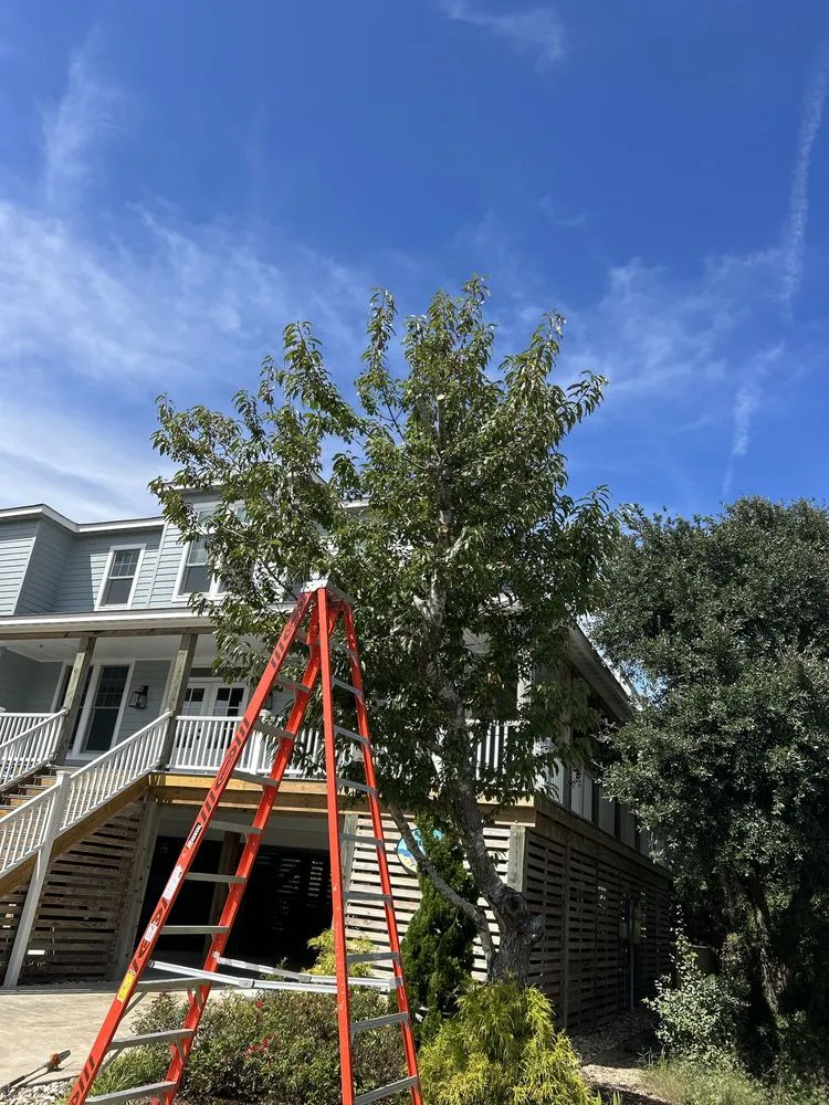 Local yard maintenance for residential properties in Kill Devil Hills, NC by OBXGrassCutters