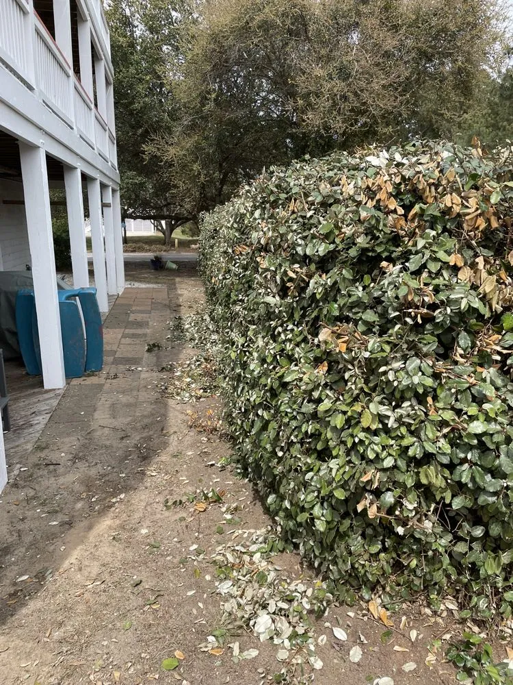 Trusted residential landscaping experts serving Kill Devil Hills, NC - OBXGrassCutters