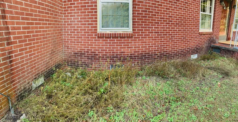 Top-rated outdoor landscaping for beautiful yards across Kill Devil Hills, NC - OBXGrassCutters