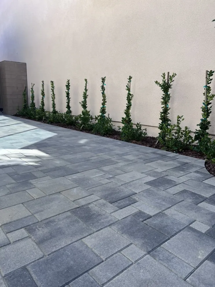 Professional lawn mowing service for residential properties in Santa Ana, CA by OC Artistic Landscape