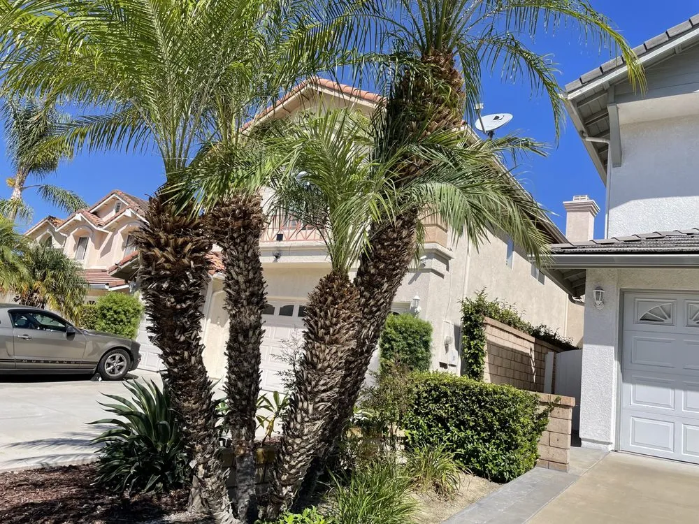 Expert landscaping services with custom design in Lake Forest, CA by OC Garden Service