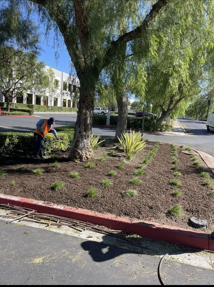Expert landscape installation experts serving Santa Ana, CA - OC Landcare