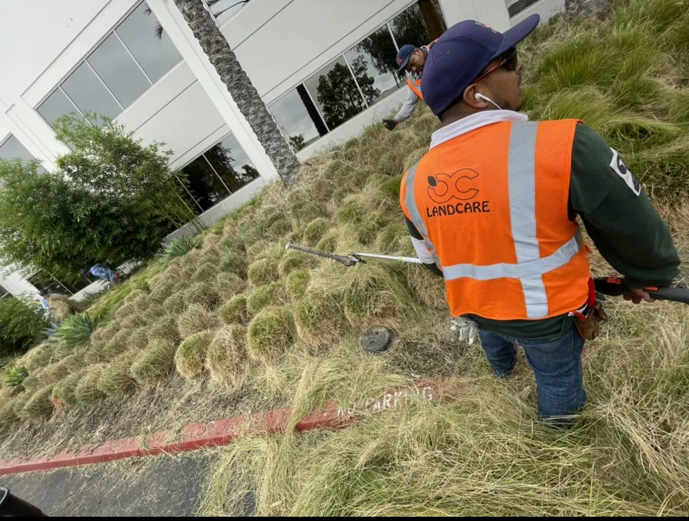 Top-rated lawn care service for homes across Santa Ana, CA - OC Landcare