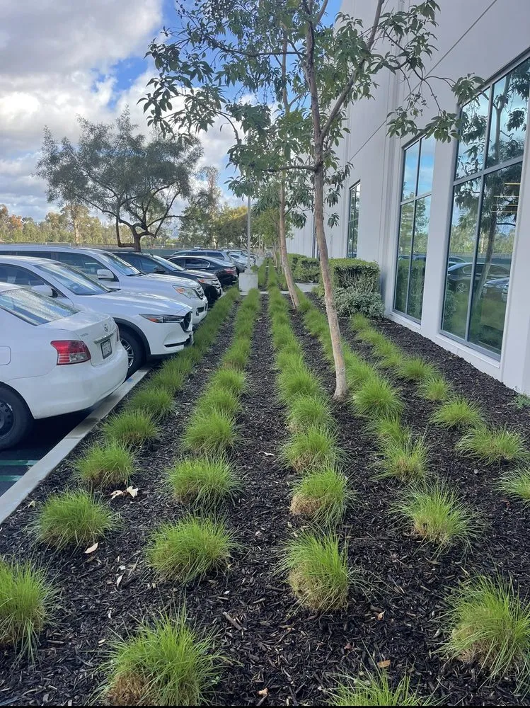 Expert landscaping services experts serving Santa Ana, CA - OC Landcare