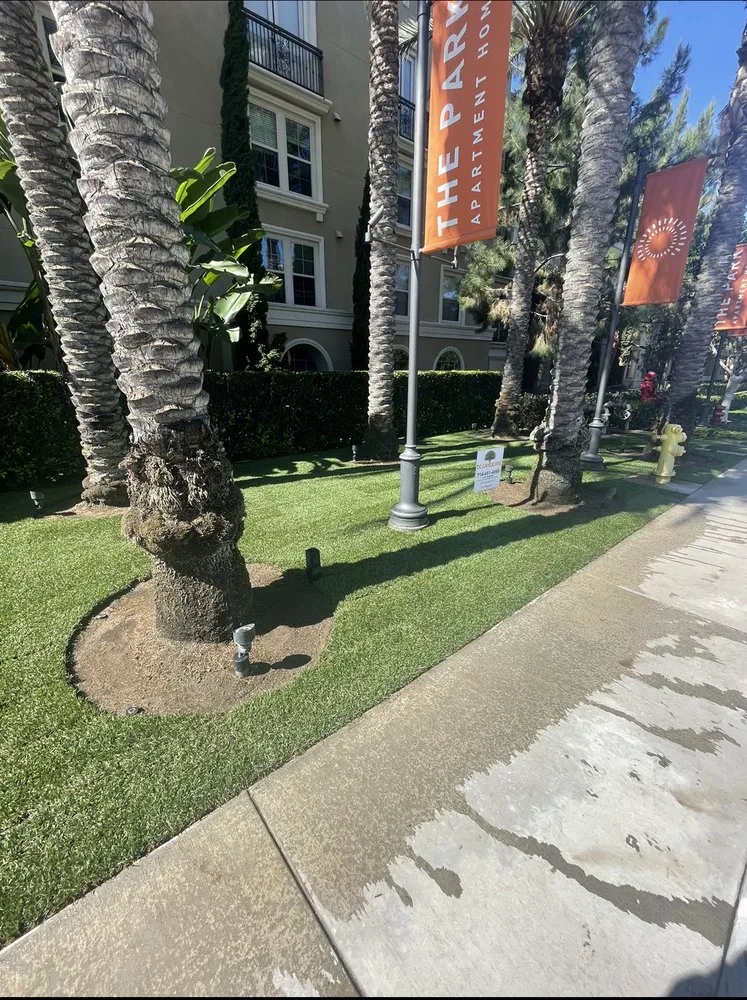 Reliable yard maintenance near you in Santa Ana, CA by OC Landcare