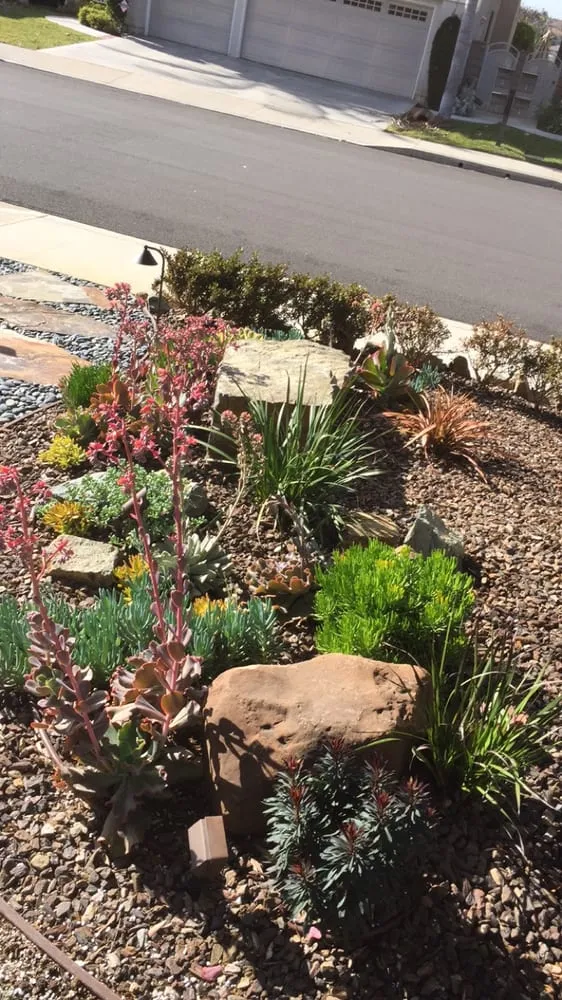 Affordable lawn care service with custom design across Orange, CA - OC Landscape & Maintenance