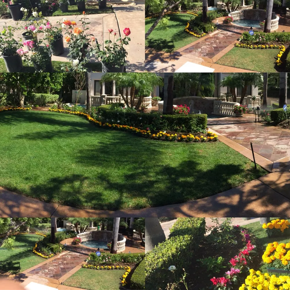 Expert landscape design experts serving Orange, CA - OC Landscape & Maintenance