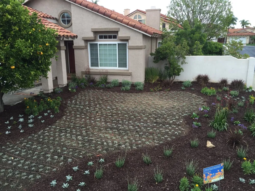 Affordable landscaping services experts serving Orange, CA - OC Landscape & Maintenance