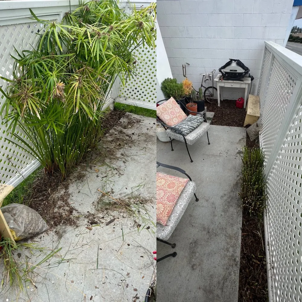 Trusted garden landscaping experts serving Santa Ana, CA - OC Landscape Maintenance - OCLM Group Services