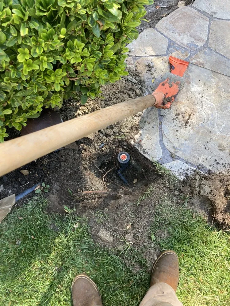 Affordable landscaping services in Santa Ana, CA by OC Landscape Maintenance - OCLM Group Services