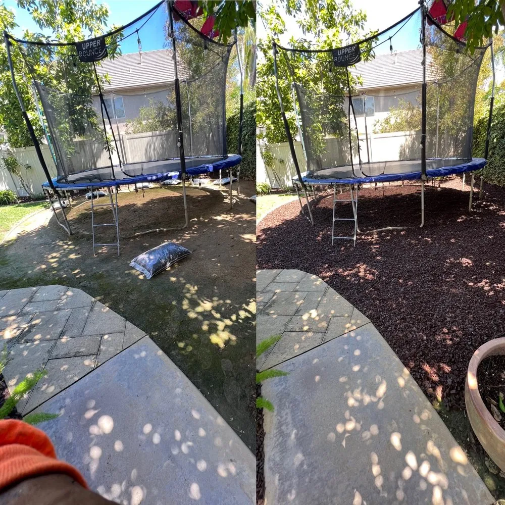 Local yard cleanup service for residential properties across Santa Ana, CA - OC Landscape Maintenance - OCLM Group Services