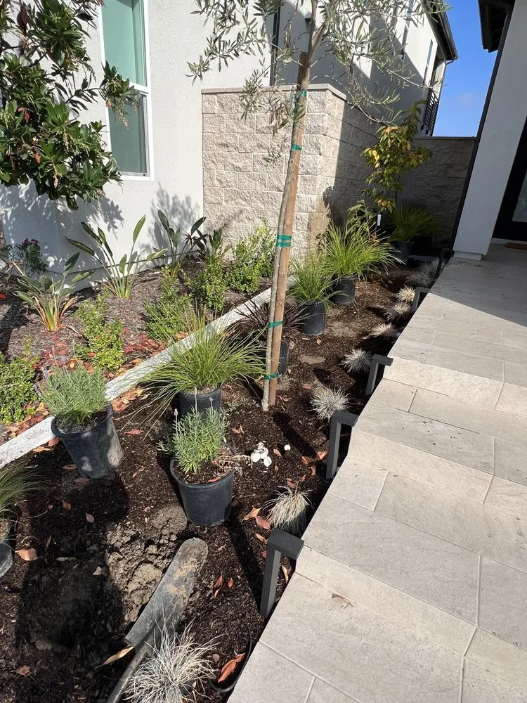 Expert residential landscaping in Santa Ana, CA by OC Landscape Maintenance - OCLM Group Services