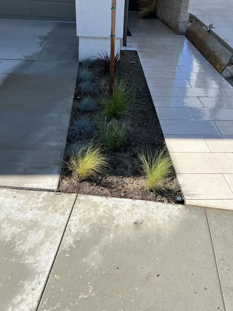 Affordable yard cleanup service in Santa Ana, CA - OC Landscape Maintenance - OCLM Group Services