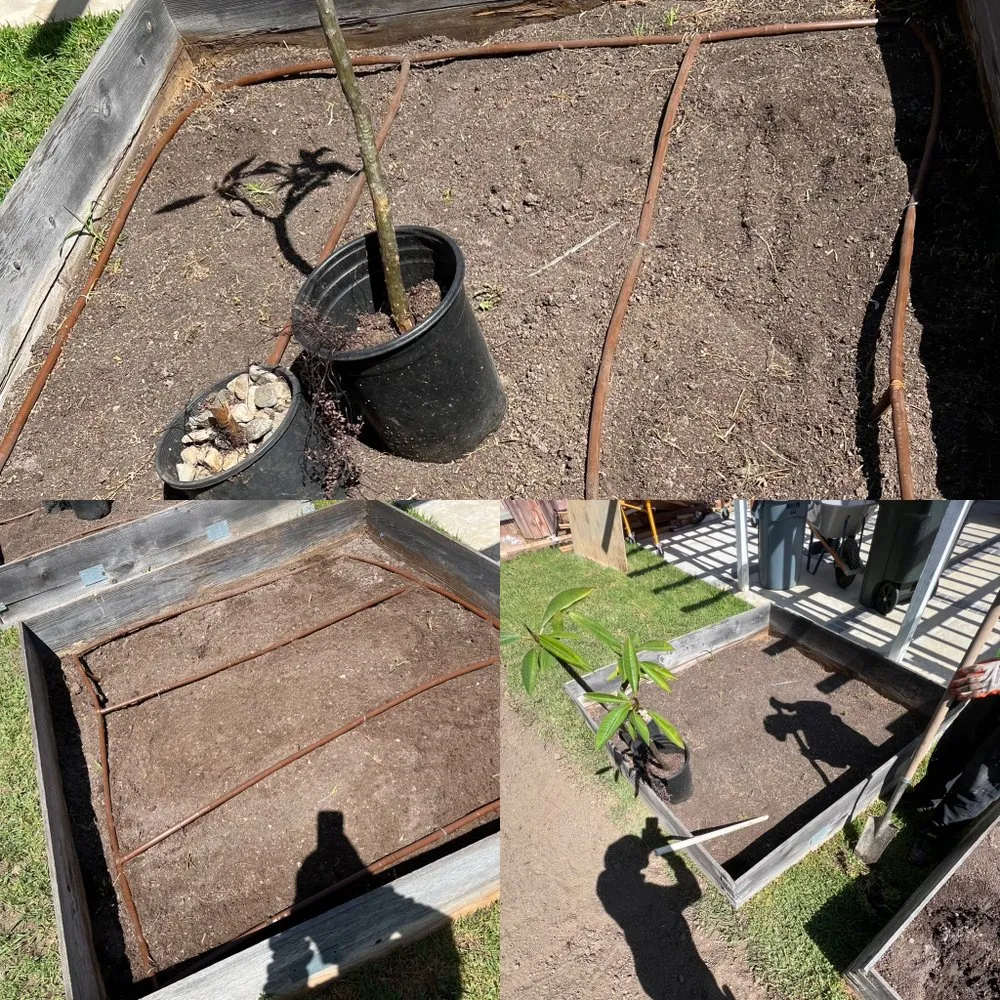 Expert landscaping services experts serving Santa Ana, CA - OC Landscape Maintenance - OCLM Group Services