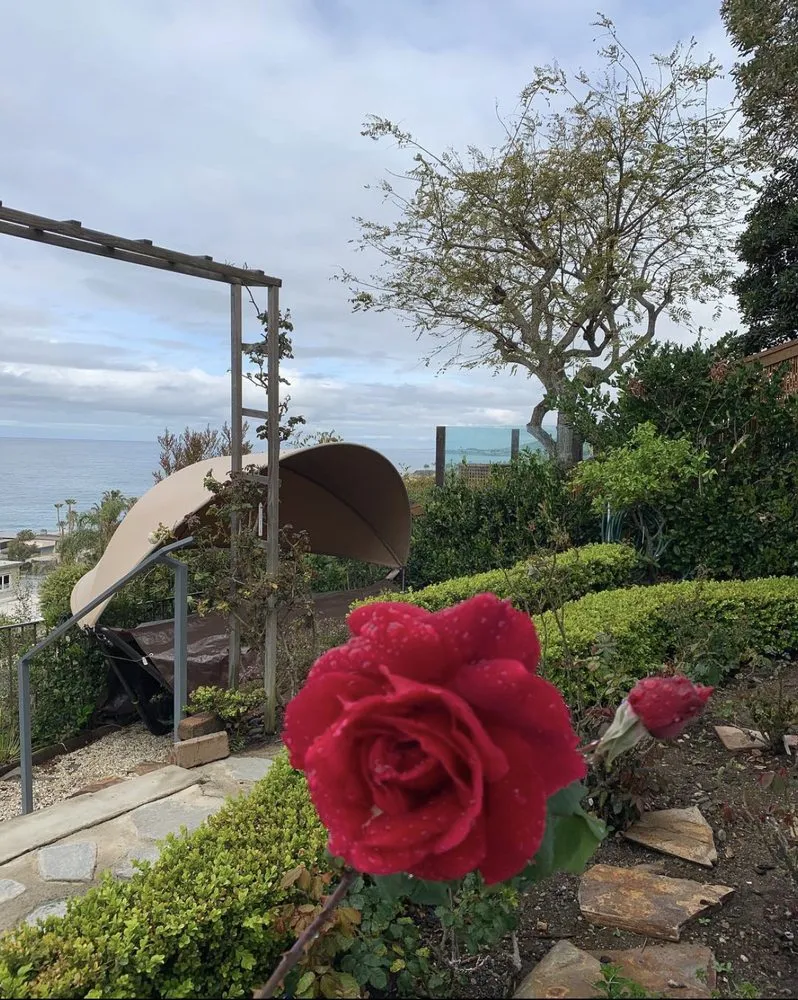 Reliable landscaping services for year-round maintenance across Santa Ana, CA - OC Landscape Maintenance - OCLM Group Services