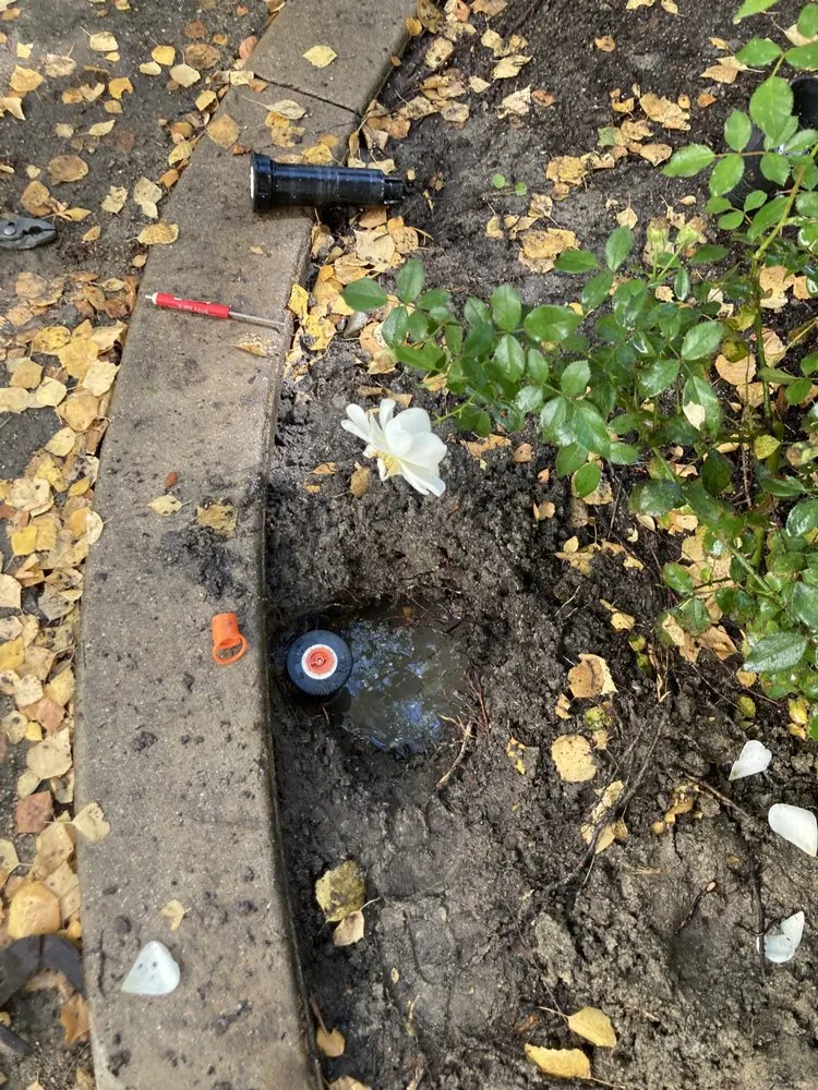 Affordable landscape design experts serving Santa Ana, CA - OC Landscape Maintenance - OCLM Group Services