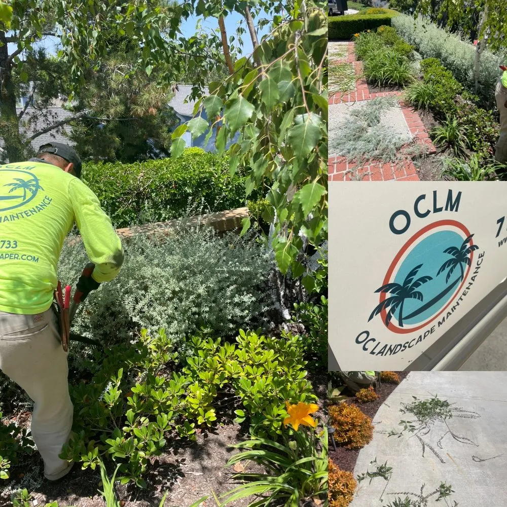 Custom garden landscaping experts serving Santa Ana, CA - OC Landscape Maintenance - OCLM Group Services