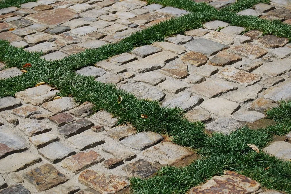 Top-rated yard maintenance experts serving San Juan Capistrano, CA - OC Landscape Management