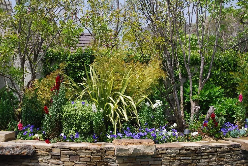 Expert landscape design in San Juan Capistrano, CA by OC Landscape Management