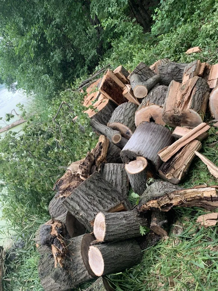 Top-rated landscaping services experts serving Minneapolis, MN - Oc landscaping and services