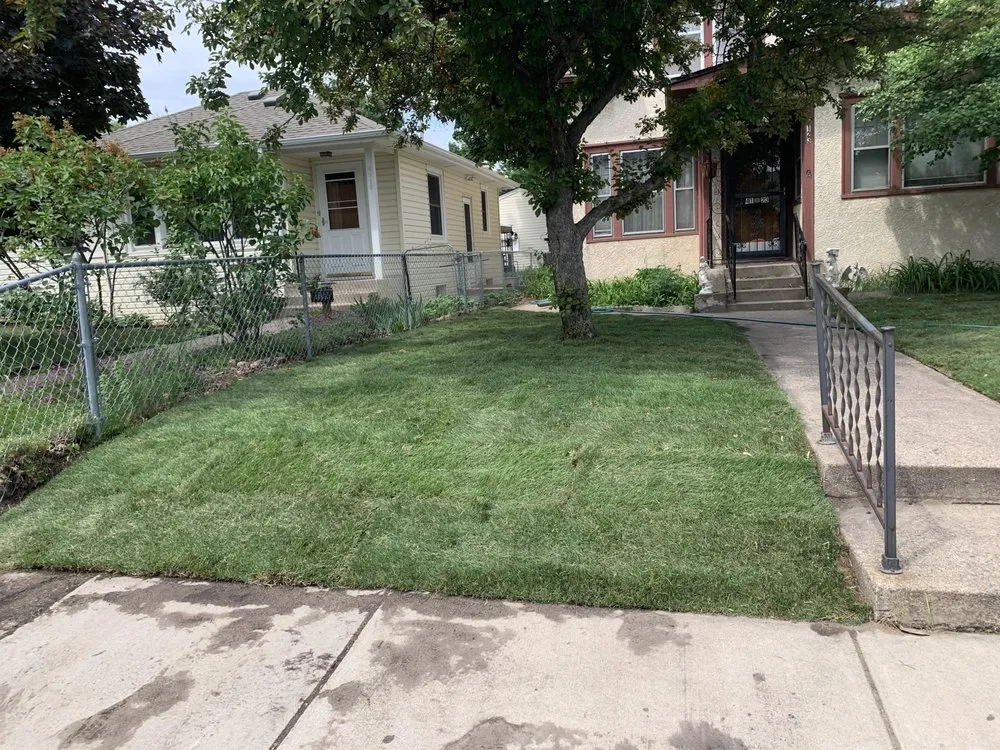 Affordable lawn care service with custom design in Minneapolis, MN by Oc landscaping and services