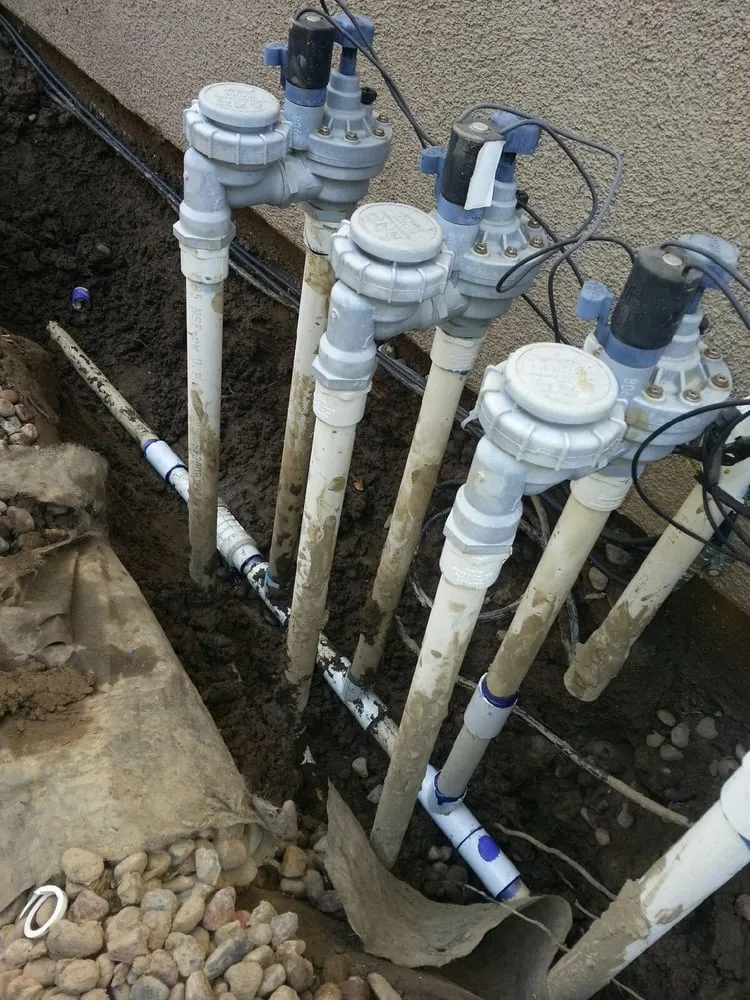 Top-rated landscaping services for year-round maintenance across Tustin, CA - OC Lawn & Landscape