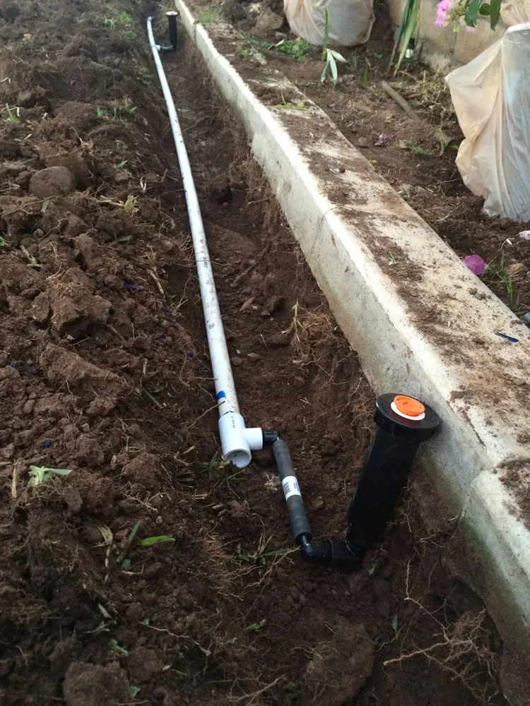 Trusted yard maintenance in Tustin, CA by OC Lawn & Landscape