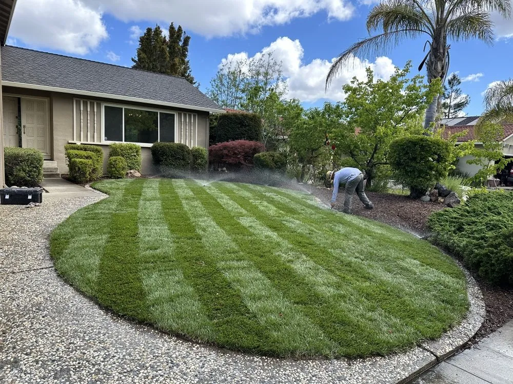 Professional landscape installation experts serving Orange, CA - OC Lawn Maintenance