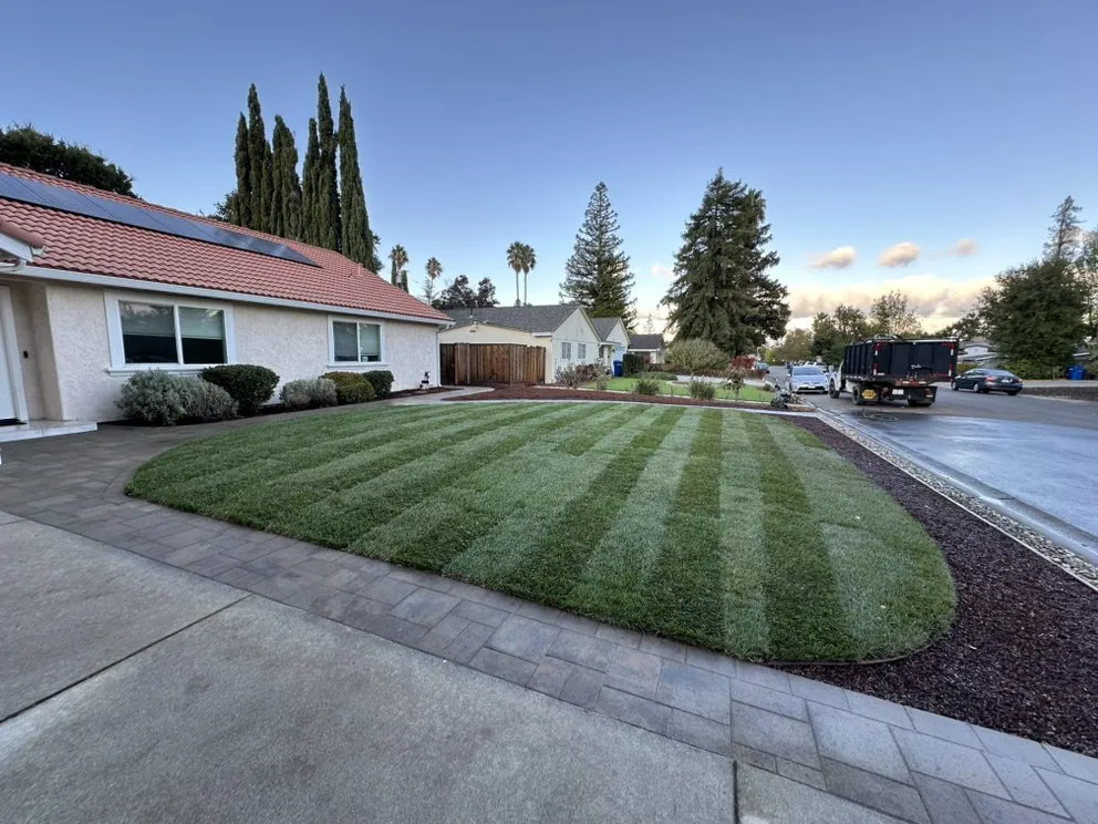 Reliable residential landscaping for year-round maintenance across Orange, CA - OC Lawn Maintenance
