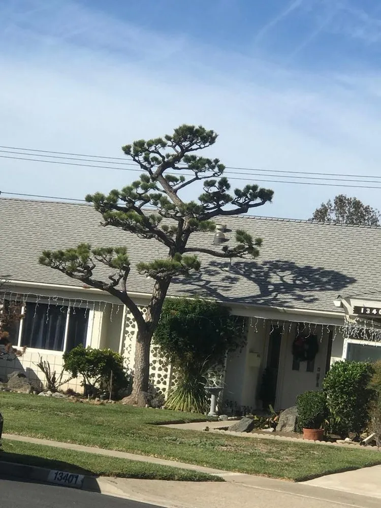 Local lawn care service for residential properties in Santa Ana, CA by OC Lawn Pro's