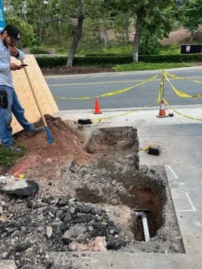 Affordable yard cleanup service experts serving Lake Forest, CA - OC Pavers and Turf