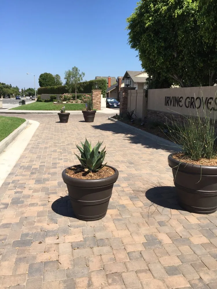 Top-rated yard maintenance in Lake Forest, CA by OC Pavers and Turf