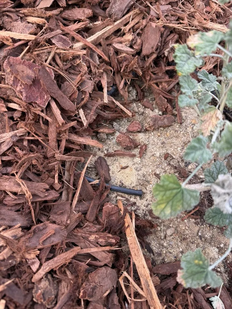 Custom landscaping services near you in Fullerton, CA by OC Pro Lawn and Landscape