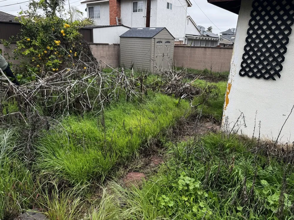 Trusted lawn mowing service for year-round maintenance across Fullerton, CA - OC Pro Lawn and Landscape