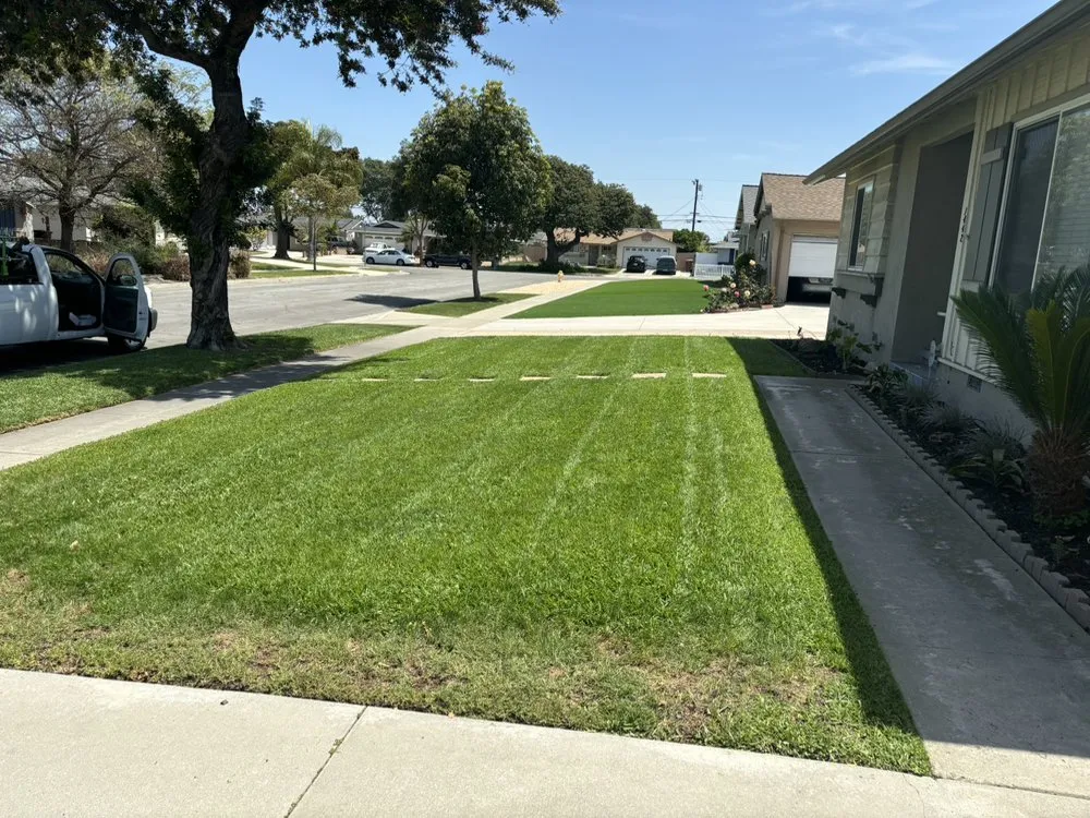 Local residential landscaping in Fullerton, CA - OC Pro Lawn and Landscape