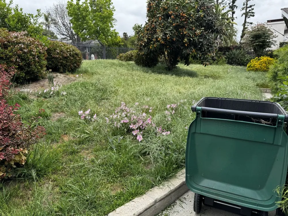 Reliable yard maintenance with custom design across Fullerton, CA - OC Pro Lawn and Landscape