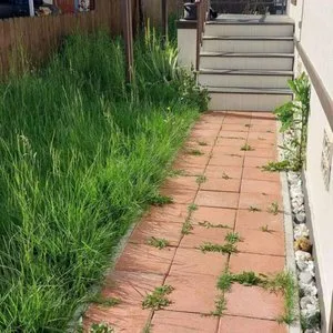 Affordable garden landscaping in Tustin, CA - OC Prolandscapes