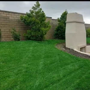 Expert lawn care service in Tustin, CA by OC Prolandscapes
