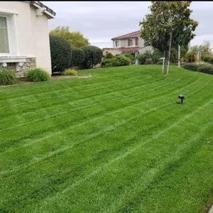 Affordable yard maintenance in Tustin, CA - OC Prolandscapes