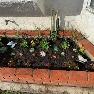 Top-rated lawn care service for year-round maintenance across Tustin, CA - OC Prolandscapes