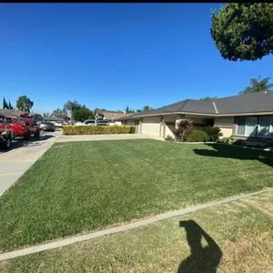 Top-rated landscaping services experts serving Tustin, CA - OC Prolandscapes