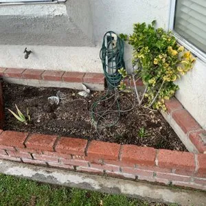Trusted landscaping services for year-round maintenance across Tustin, CA - OC Prolandscapes