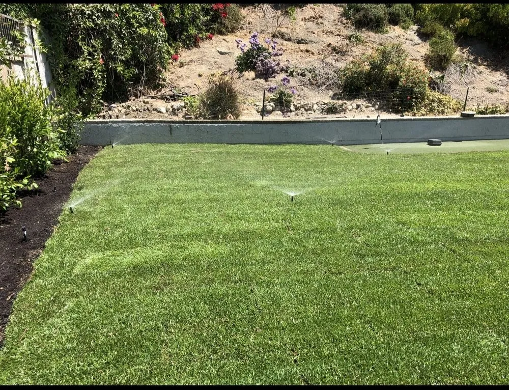 Affordable residential landscaping in Fullerton, CA - OC Sprinkler Doctor