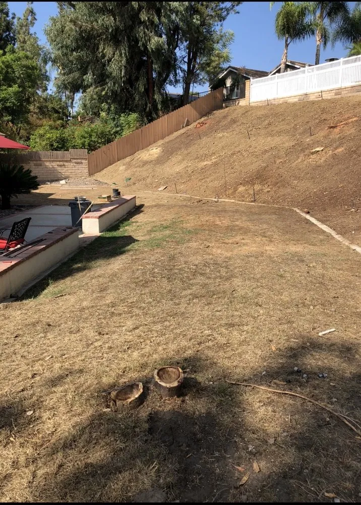 Affordable landscape design for year-round maintenance in Fullerton, CA by OC Sprinkler Doctor