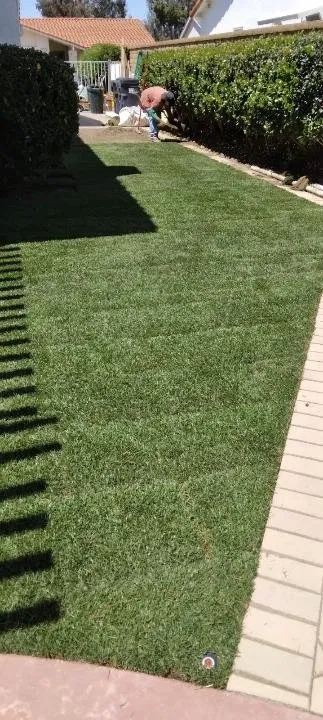 Professional outdoor landscaping in Tustin, CA - OC Sprinkler Guys